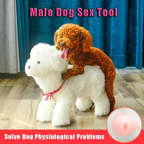 Realistic plush pet male - pet,