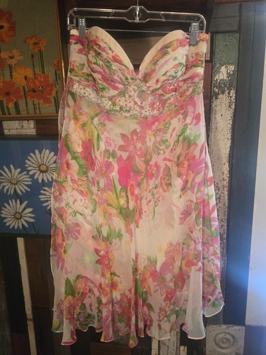 Nwt diane freis chiffon - nwt,
