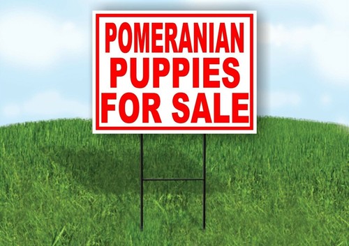 Pomeranian puppies for sale - for,