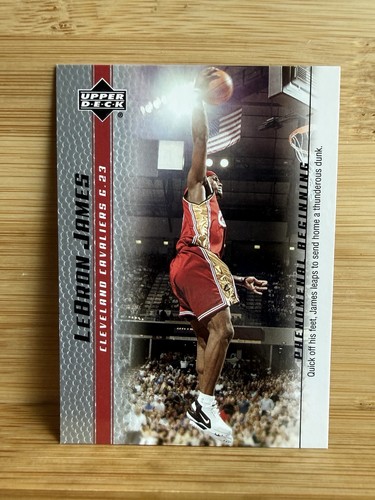 Lebron james 2003 upper - james, 2003-04