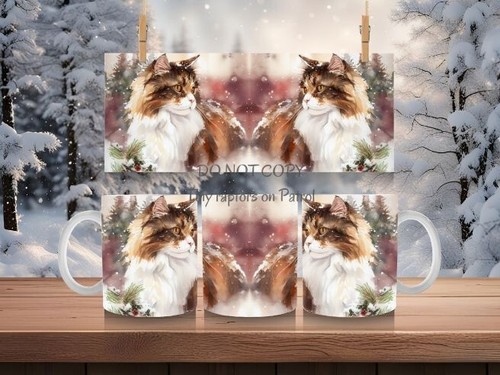 Maine coon cat - coon, cat,