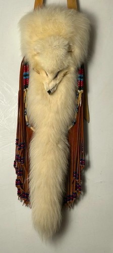 Arctic snow fox - arctic, native