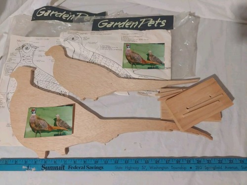 Ring neck pheasant pair - ring,