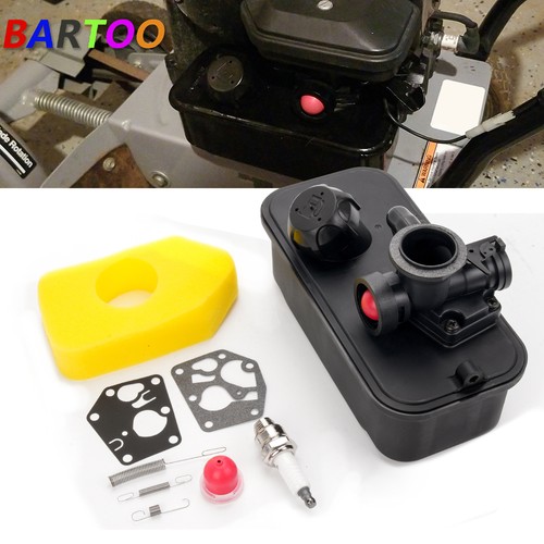 Carburetor with 494406 fuel - with,