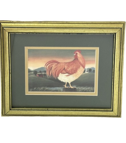 Beautiful red hen chicken farm - chicken,