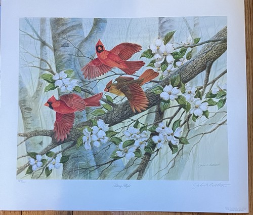 John ruthven cardinals - a, “cardinals