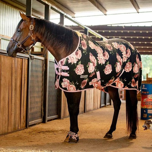 Jeffers expression fleece - expression,