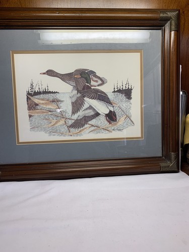 Artist gene murray ducks in - gene,