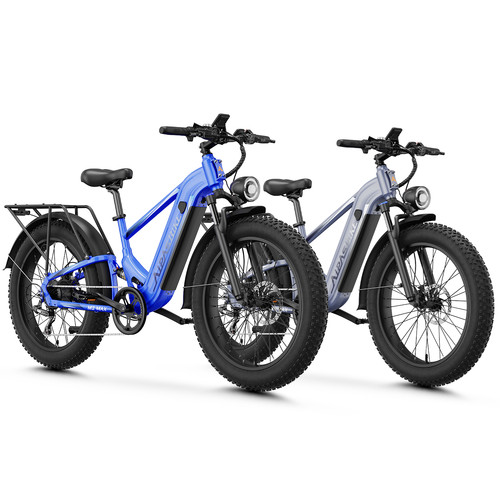 1800w fat tire electric - 26",