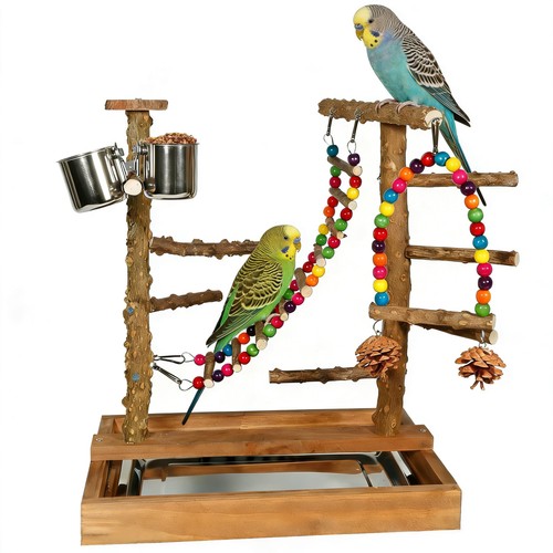 Wooden bird play stand parrots - bird,