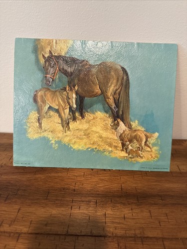 Vintage horse foal - horse,
