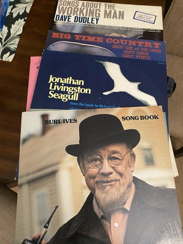 Vintage vinyl record lot - vinyl,