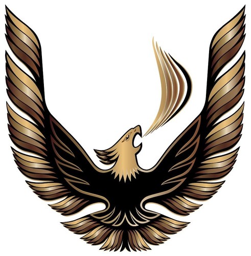 Pontiac firebird trans - firebird, am