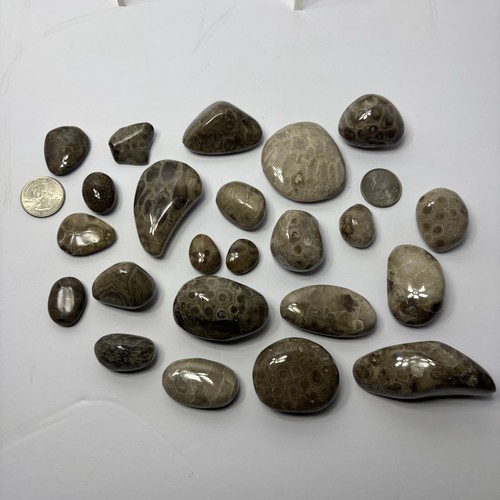 Huge lot polished - lot, of