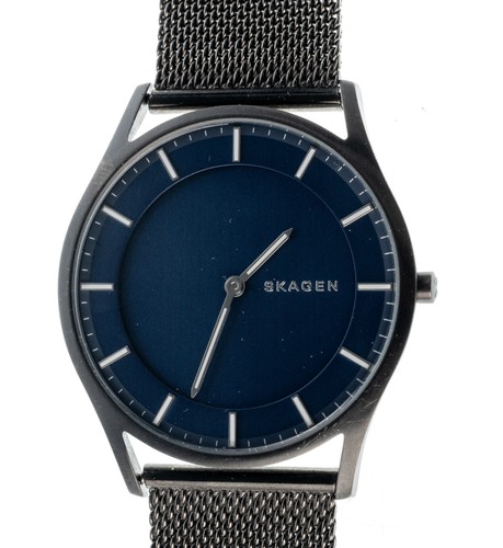 Skagen holst skw6223 stainless - skw6223,