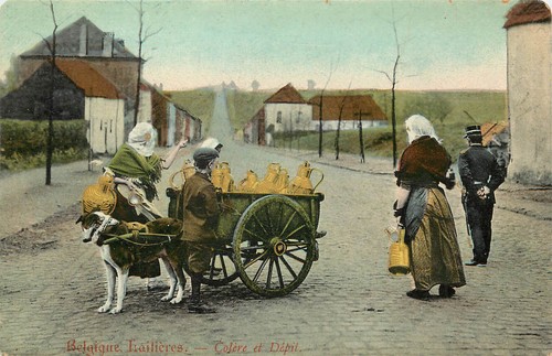 Postcard dog drawn - postcard,