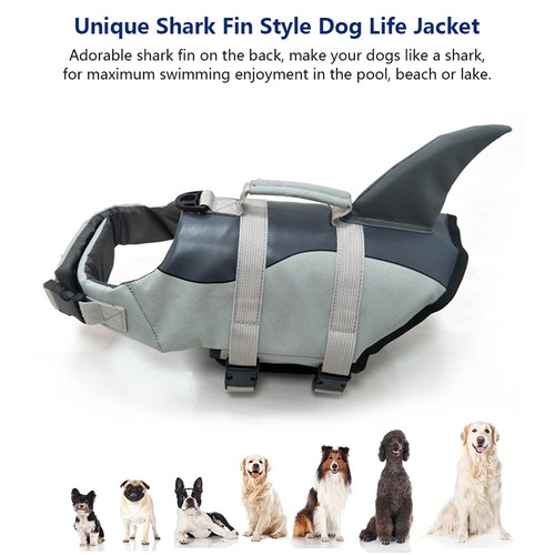 Pet dog swimming water - pet,