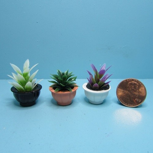 Dollhouse miniature potted - dollhouse,