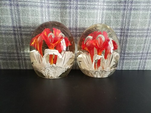 Large pair egg shaped calla - large,