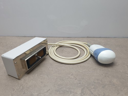 Rab2 4d ultrasound - rab2-5,