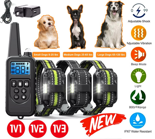 3000 dog training collar - training, us