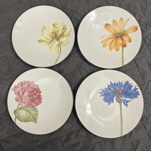 Noritake colorwave chocolate - noritake,