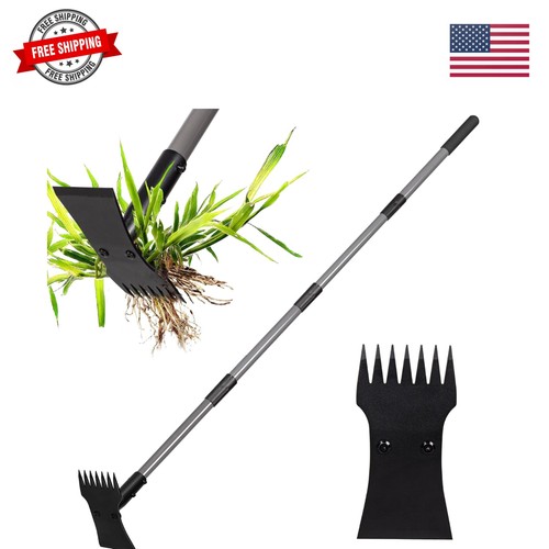 Weed puller tool and - weed,