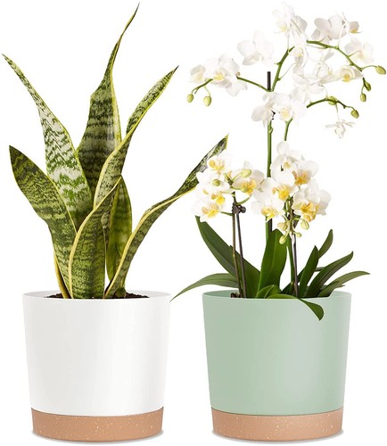 Plastic flower planter pots - flower,