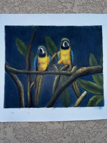 Parrot birds real oil painting - parrot,