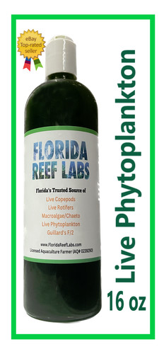 Live phytoplankton - live,