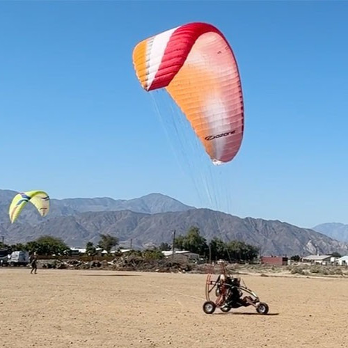 Used ozone buzz glider - used,