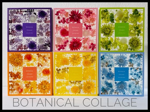 Handcrafted botanical collage - handcrafted,