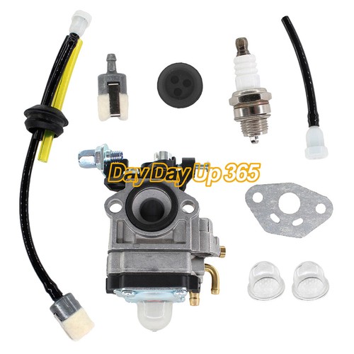 Carburetor kit for blue max - carburetor,