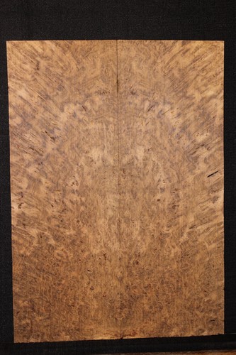 Smoked scottish oak burl book - burl,