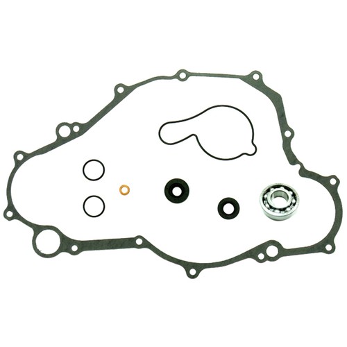 Psychic water pump repair kit - water,