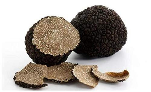 Dried black truffles sliced - dried,