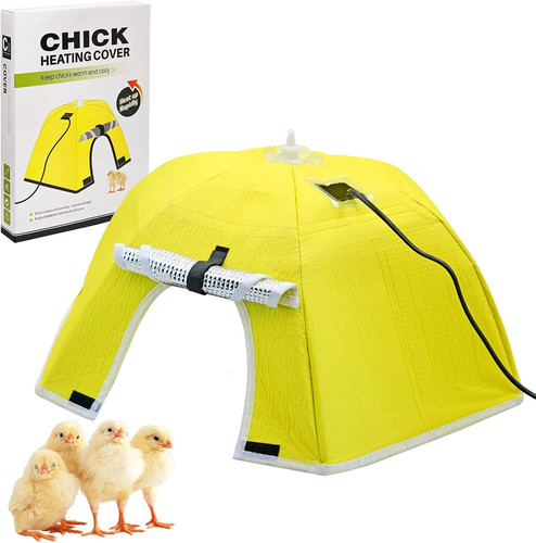 Chicken brooder box for chicks - chicken,
