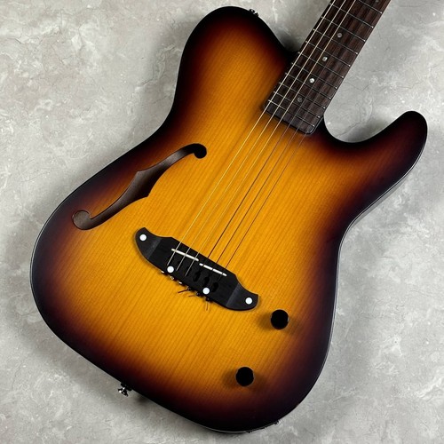 Schecter n p - schecter, ol-fl-n-p