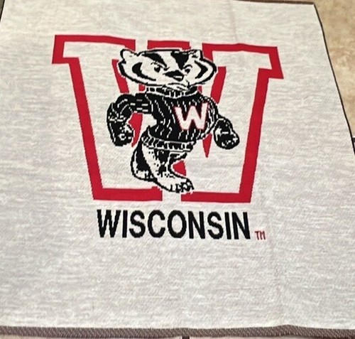 Vintage wisconsin badgers - wisconsin, pre