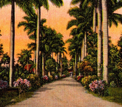 Vtg linen postcard - vtg,