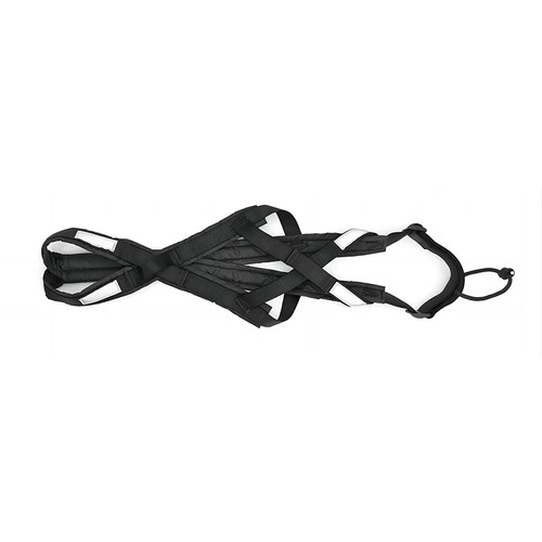 Sled dog pulling car leash - pulling,