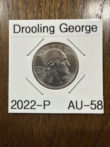 2022 maya angelou quarter - maya,