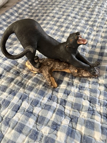 Black panther national - panther,