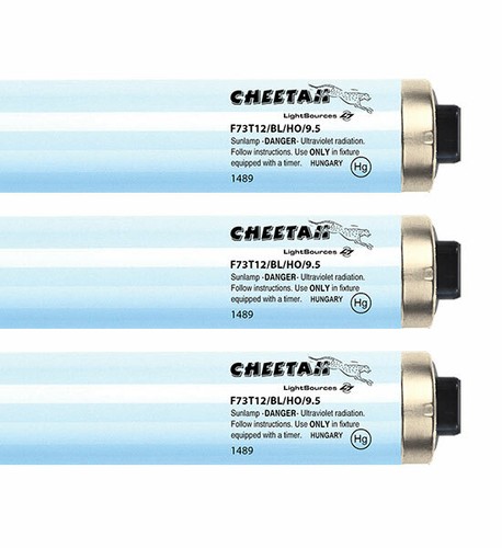 Brilliance cheetah ultra - brilliance,