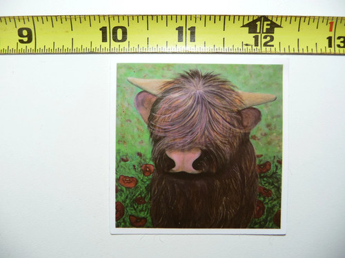 Scottish highland cattle nice - highland,
