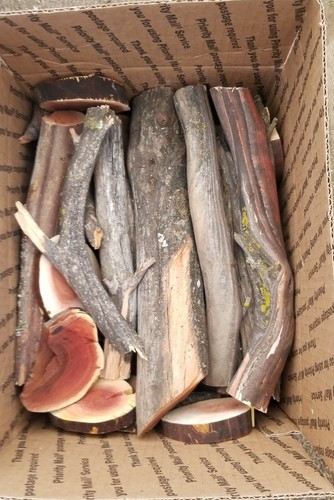 Seasoned manzanita wood for - seasoned,