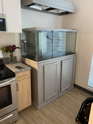 Custom full 11k tank - tank,