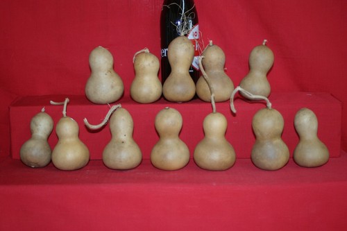 Gourds medium mini - gourds-,
