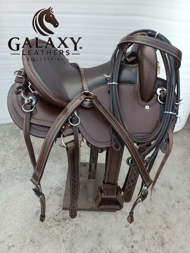 Western endurance horse - endurance,