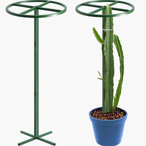 Round metal dragon fruit - metal,